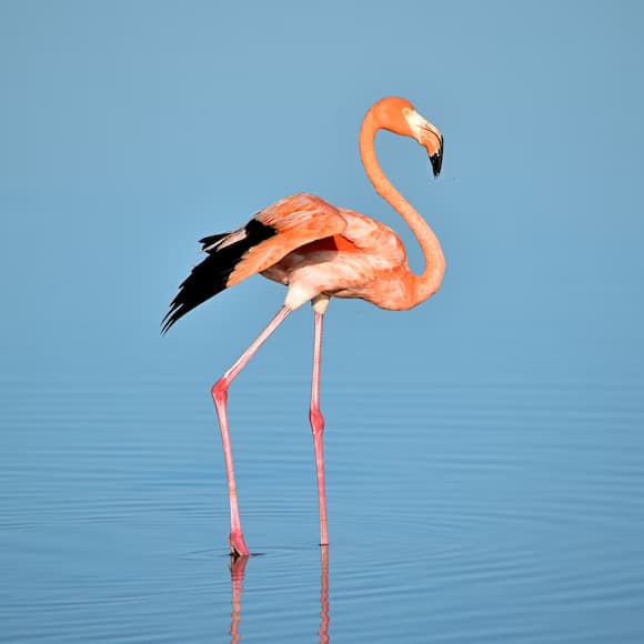 Lake Manyara National Park