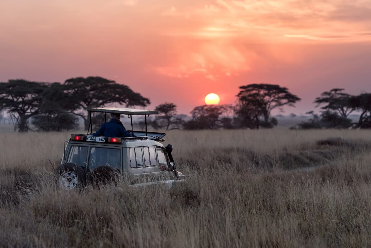 Central Serengeti 