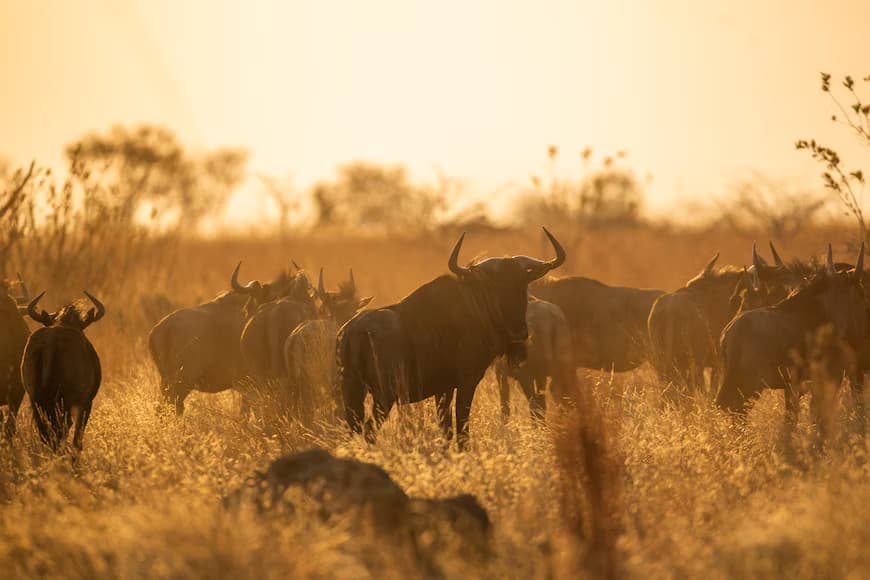  Serengeti National Park